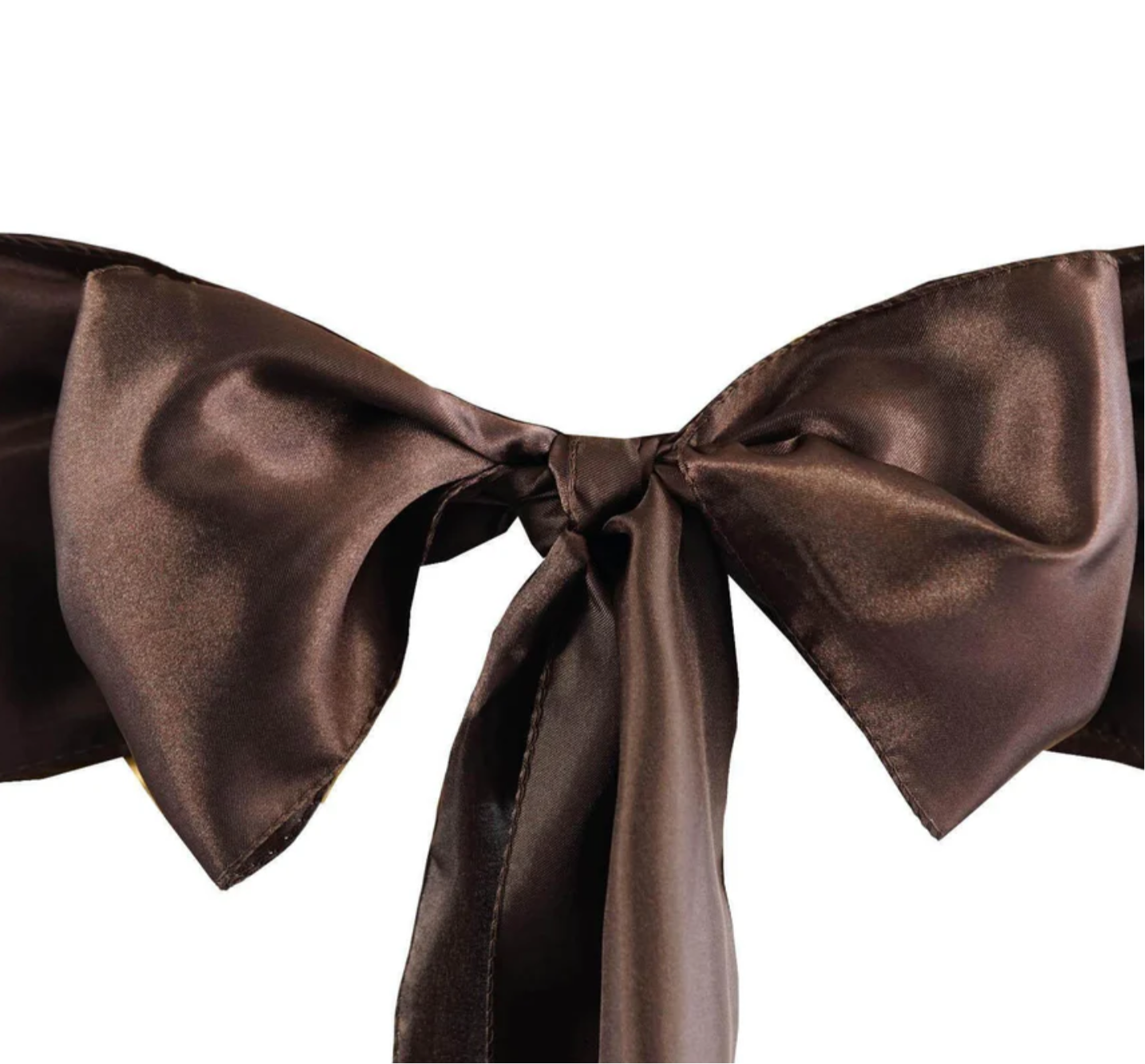 Chair Sashes