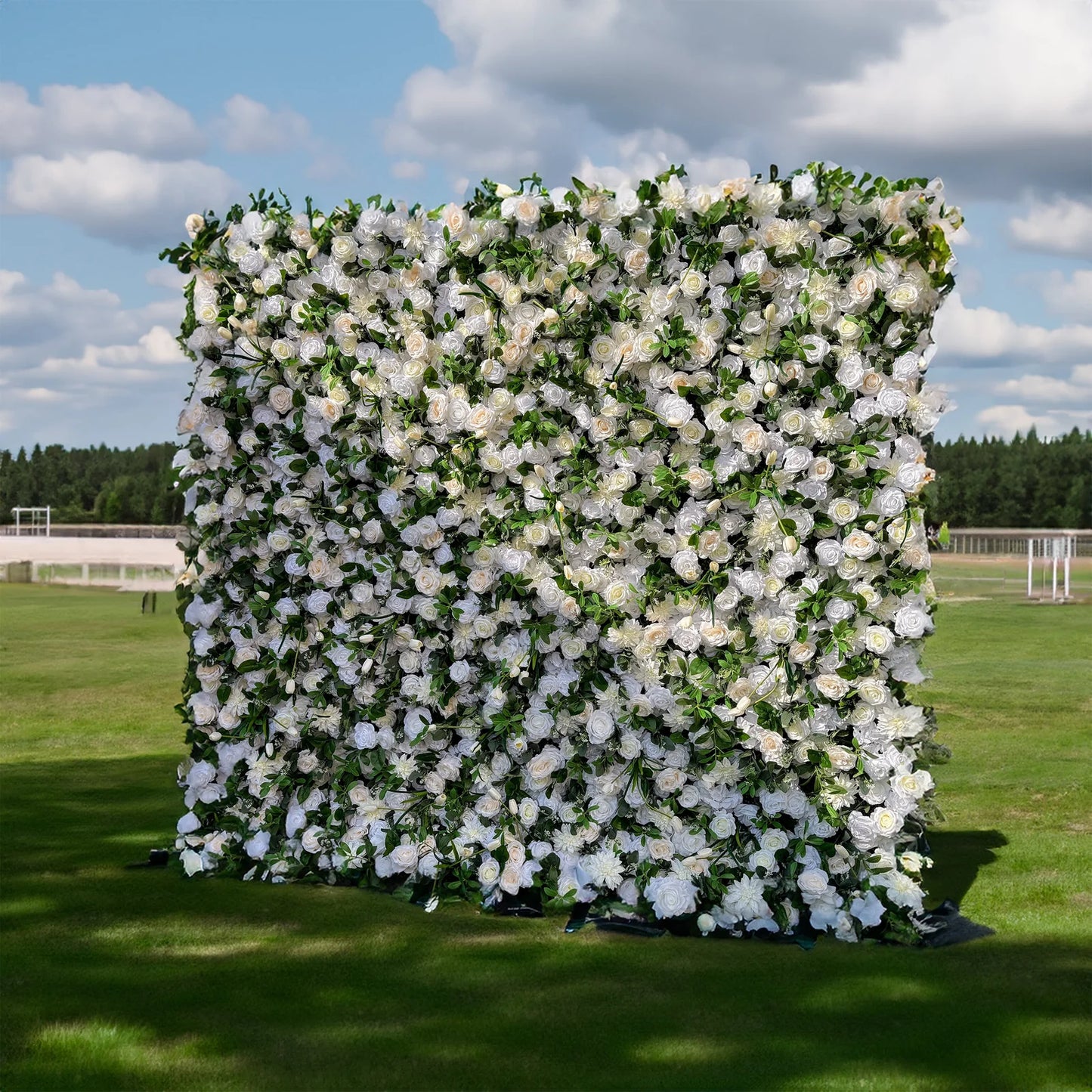 White Rose Garden Wall